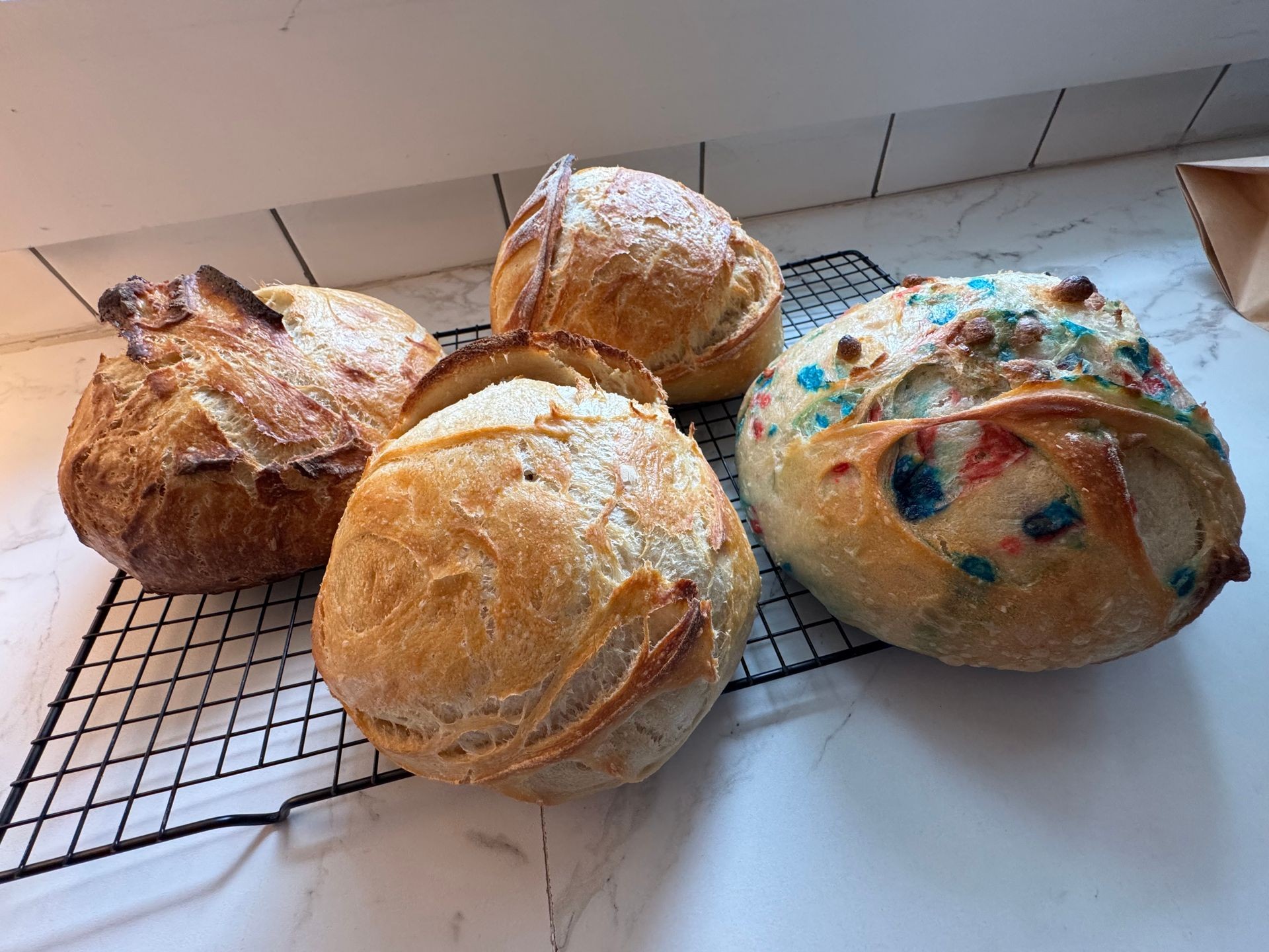 Sourdough Loaves