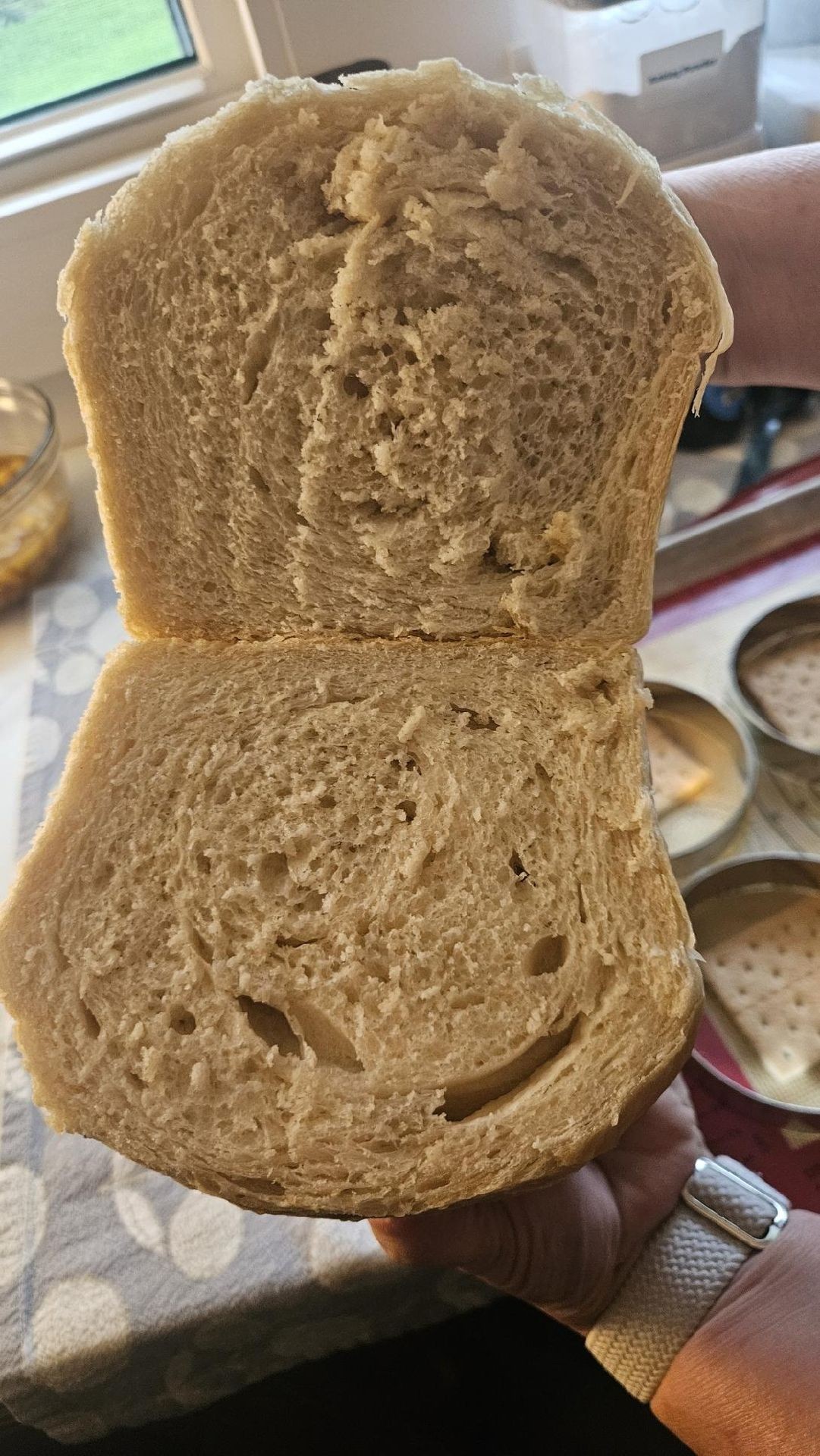 Sourdough Sandwich Loaf