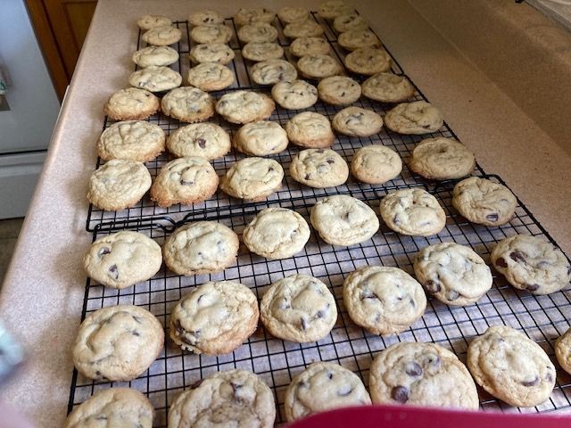 Sourdough chocolate chip cookies